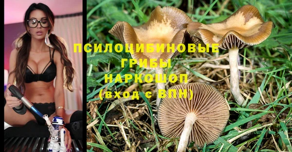 спайс Алексеевка